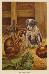 The Toilet Lesson