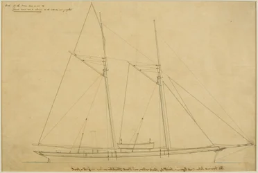 The Venus