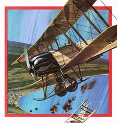 The Wooden Warrior, or AVRO 504