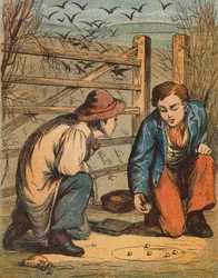 The Careless Crow-Tender