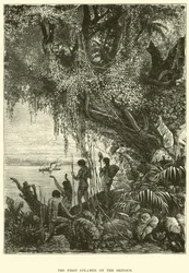 The first steamer on the Orinoco