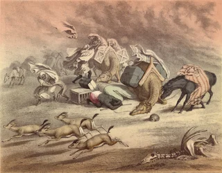 The great African desert, caravan of camels, horses and asses, overtaken by the Simoom, frightened gazelles