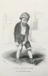 The Mud-Lark