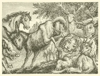 The Old Lion