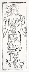 The Parts of the Body Which Control Each Zodiac Sign