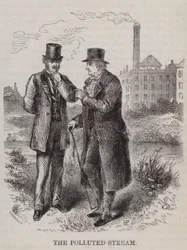 The polluted stream - farmer vs industrialist