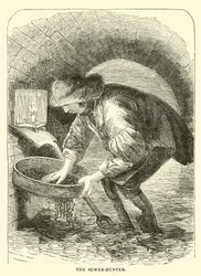 The Sewer-Hunter