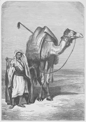 The ship of the desert