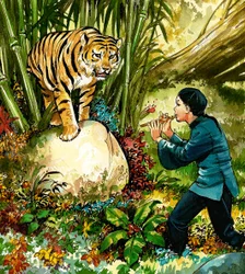 Tiger Being Played to on the Flute