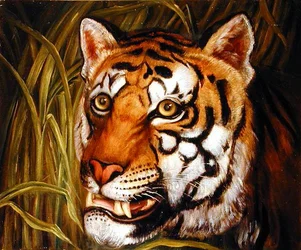 Tiger, tiger burning bright...