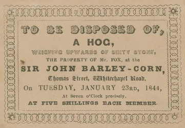 To Be Disposed Of, a Hog
