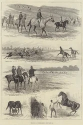 Training at Newmarket