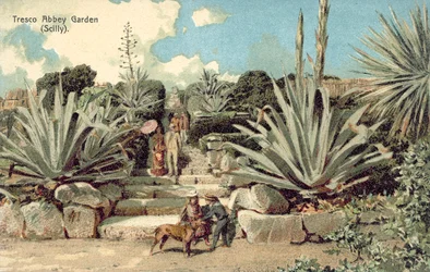 Tresco Abbey Garden, Scilly Isles, Cornwall