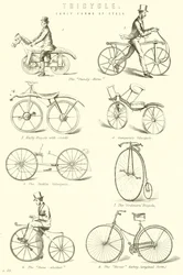 Tricycle