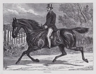 Trotting
