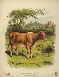 Two Cows