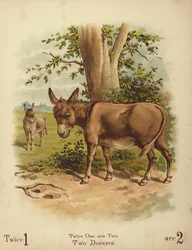 Two Donkeys