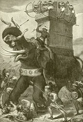 War Elephant in the Army of King Darius