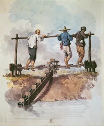 Watering the rice field with a chain pump