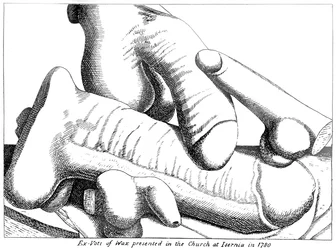 Wax ex-votos of the male penis from Isernia in the Molise region of Southern Italy
