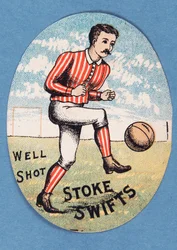 Well Shot Stoke Swifts