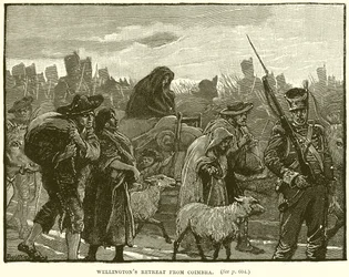 Wellington