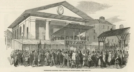 Westminster Election