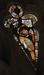 Window depicting a Bird