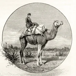 Woman on a Camel in Australia, from 