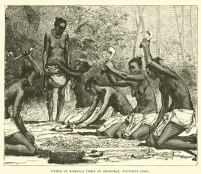 Women of Kambala (West of Benguela) pounding corn