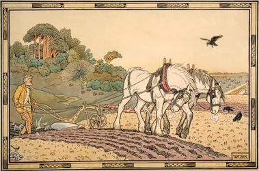 Work - Ploughing