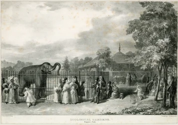 Zoological Gardens, Regents Park