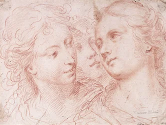 Three Studies of Female Heads
