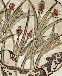 A Calf in a Papyrus Field