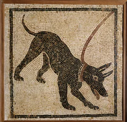 Cave Canem - Beware of the Dog, Threshold Mosaic from Pompeii