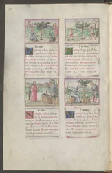 Full Page: Text and Miniatures