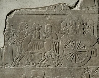 King Ashurbanipal
