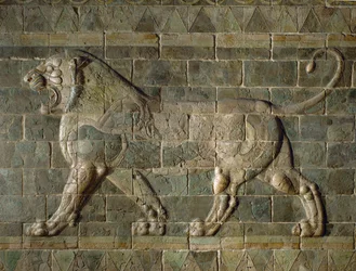 Lion, Coloured Glazed Tiles, from the Palace in Susa, Iran