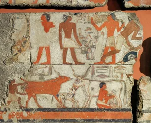 Mural from the tomb of pharaoh Metchetchi