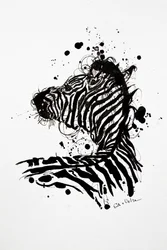 Wild Zebra Ink Splash