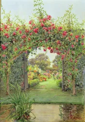 Crimson Rambler, Harleyford Manor, Marlow