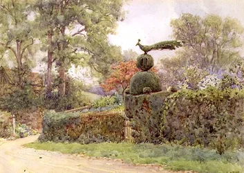 The Old Yew Hedge, Speldhurst, Kent