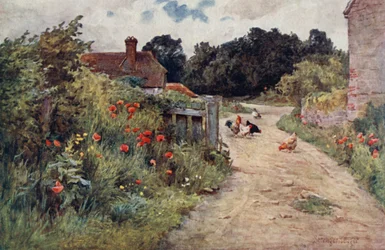 The Guise of Summer