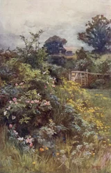 The Reign of the Rose