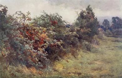 The Revelation of Ripeness