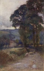The Shadowed Roadway