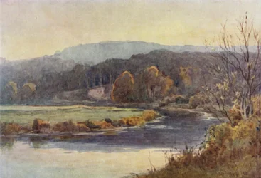 The Woodland and the Waterway