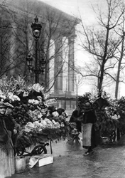 Flower market at the Madeleine, Paris, 1931