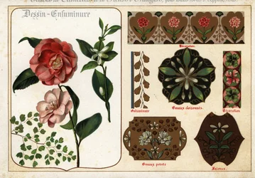 Images of camellias and orange flowers from manuscripts