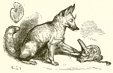 The Fox and the Mask